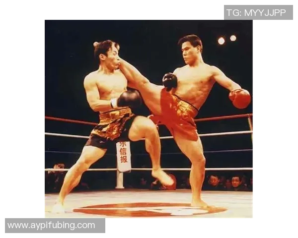 柳海龙与宝力高激战正酣谁将成为拳坛新王者的传奇对决